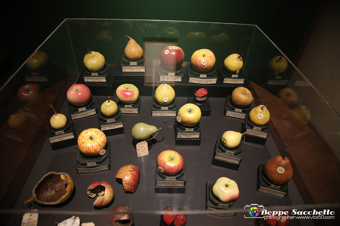 VBS_1391 - Castello di Miradolo - Mostra Oltre il giardino l'Abbecedario di paolo Pejrone.jpg